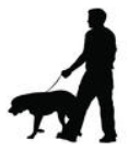 dogwalker117