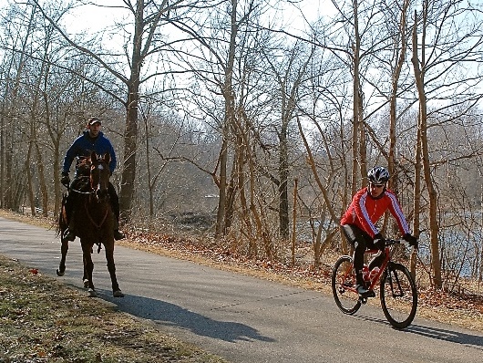 Horsebike MEgan 3x4 crop