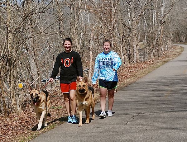 Dog Walkers 600x400
